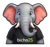 Elefante - grupo 12